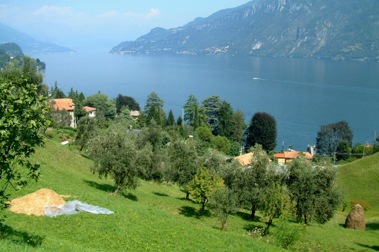 Oliveto Lario