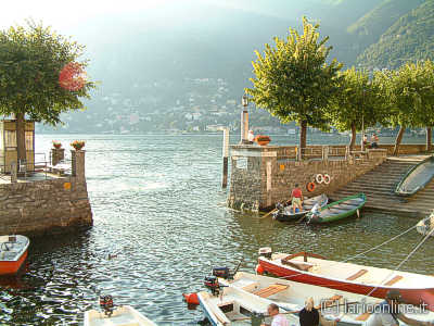 Como's branch lake Como